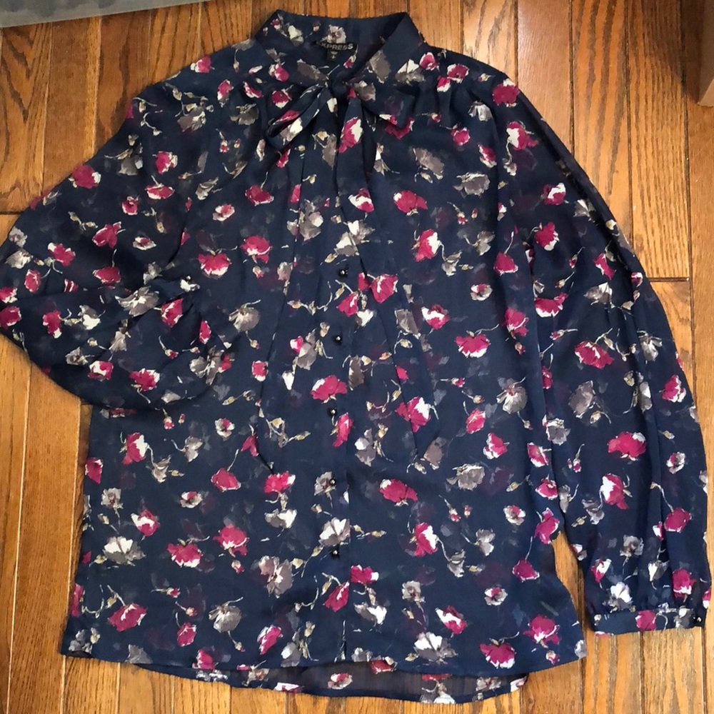 EUC Express tie sheer top